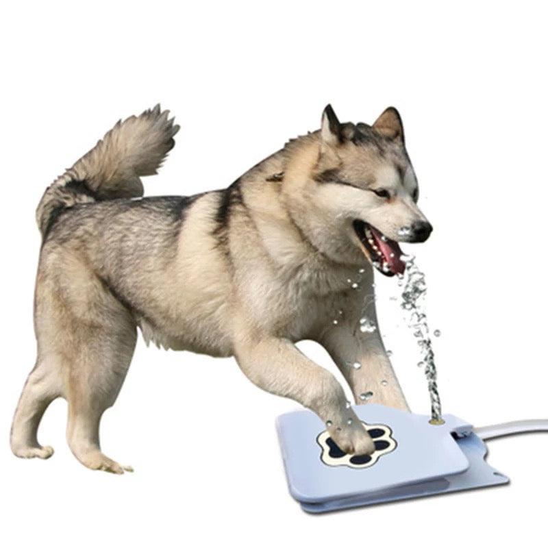 Outdoor Dog Pet Water Fountain Bump baby and beyond
